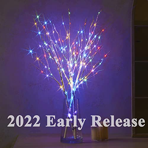 Hairui Lighted Branches 150L 8 Functions Warm White and Multicolor Fairy Lights 30IN for Room Easter Christmas Holiday Decoration - style: White Birch+ Multicolor 1set