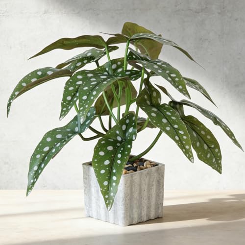 Muhanjia Artificial Potted Plant, Lifelike Faux Greenery in Decorative Cement-Look Square Pot for Indoor Home Decor Centerpieces (Polka Dot Begonia) - color: Polka Dot Begonia