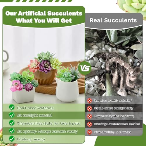 12 Pack Realistic Flocked Artificial Succulents, Faux Plastic Succulents Mini Fake Plants for DIY Craft, Home Decor, Garden & Office Floral Arrangements (Unpotted, PVC, Lifelike Details)