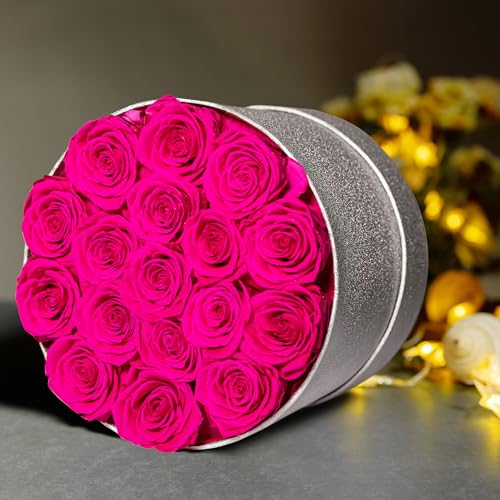 Prifroti 17 Hot Pink Flowers in Glitter Box, Birthday Gifts for Women, Preserved Flowers, Mothers Day Roses Gift for Mom - color: Hot Pink | Glitter Box, size: 17 Roses