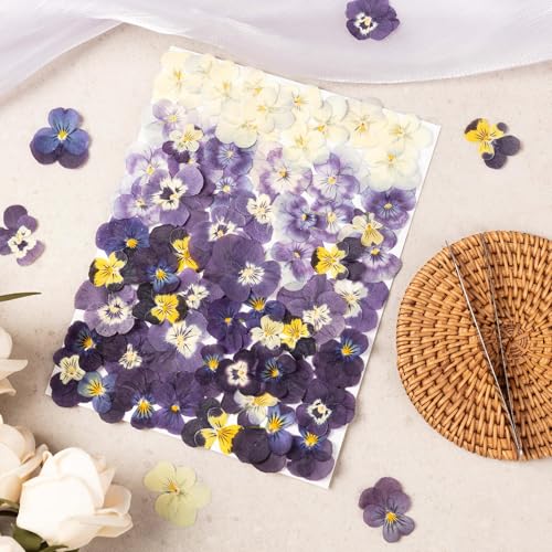 60Pcs Dried Pressed Pansies Flowers for Cake Decorating, Purple Real Dry Flower for Resin Art Crafts Jewelry Decorations - size: Purple