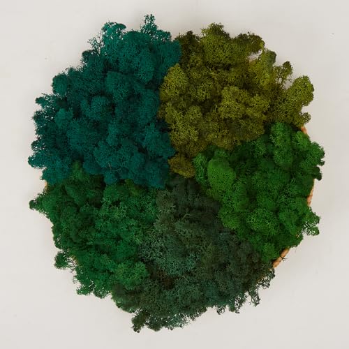 Preserved Reindeer Moss Natural Green DIY Kit Gardenning Art Wall Decor Florist Decor Easter Table Decor Wedding - color: Style-15, size: 1 lb