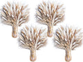 440PCS Natural Pampas Grass Mix Bouquet | Dried Pampas Bouquet for Wedding Boho Flowers Home Table Decor Desk Decor, Rustic Farmhouse Decor (440PCS) - size: 440PCS