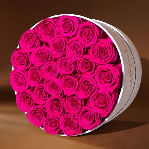 Prifroti 27 Flowers in a Luxury Suede Box, Birthday Gifts for Women, Preserved Flowers, Mothers Day Roses Gift for Mom, Hot Pink - color: Hot Pink, size: 27 Roses