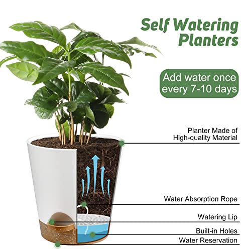 YNNICO Indoor Self Watering Planters with Drainage Holes and Saucers, 8, 7, 6.5, 6, 5.5, 5 Inches, White, 6 Pots - color: White, size: 8+7+6.5+6+5.5+5 inch