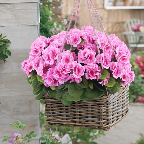 CITYES 8 Pcs Artificial Geraniums Flowers Silk for Outdoors UV Resistant Artificial Geranium Bush Purple Pink Faux Flowers Plant Geraniums for Garden Home Decor Patio Vase Table Centerpiece - color: Purple Pink