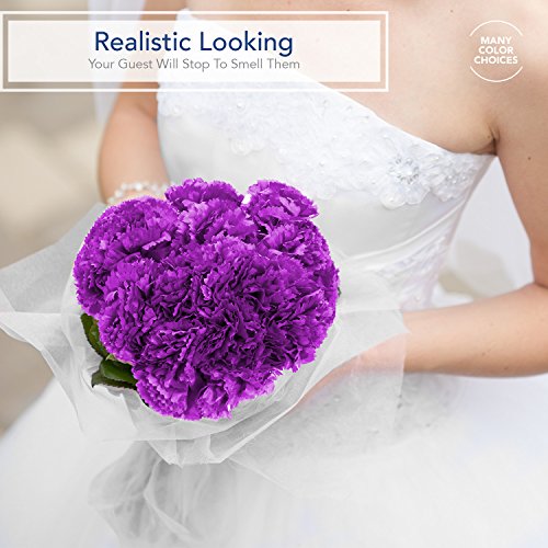 Royal Imports Artificial Carnations, Silk Faux Flowers, for Funeral Arrangements, Wedding Bouquets, Cemetery Wreaths, DIY Crafts - 100 Single 5" Stems - Ivory - color: Ivory