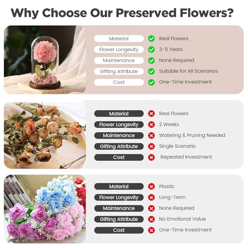 Forever Hydrangeas in Glass Dome,Forever Preserved Flowers Gifts Mothers Day Birthday for Grandma Women Mom Wife,Fresh Flowers for Delivery/Pink Hydrangea - color: Pink