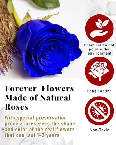 Changshunqi 16 Flowers Forever Preserved Roses in Box, Forever Flowers Womens Birthday Gifts for Women Mothers Blue Rose Gift for Her Romantic Eternal Real Rose for Women Mom Wife - color: Mystic Blue