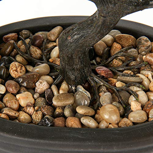Artificial Bonsai Tree Juniper Faux Plants Indoor Small Fake Plants Decor with Ceramic Pots for Home Table Office Desk Bathroom Shelf Bedroom Living Room Farmhouse Decorations - style: 9" Ficus