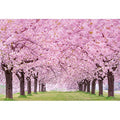 Cherry Blossom Flowers Backdrop for Photography 10x8ft Spring Scenery Cherry Blossom Wedding Bridal Shower Background Girls Women Portrait Themed Party Decor Picnic Banner Studio Props Vinyl - size: 10x8ft