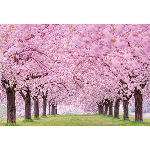 Cherry Blossom Flowers Backdrop for Photography 9x6ft Spring Scenery Cherry Blossom Wedding Bridal Shower Background Girls Women Portrait Themed Party Decor Picnic Banner Studio Props Vinyl - size: 9x6ft
