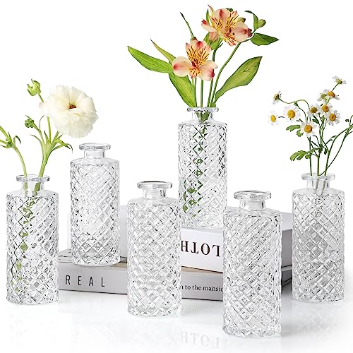 ComSaf Glass Bud Vases Set of 6, Small Diamond Bud Vases in Bulk, Mini Flowers Vases for Centerpieces, Vintage Bottle for Table Decorations, Wedding Decor, Recepetion, Home, (Clear) - color: Clear, size: 6 Pcs