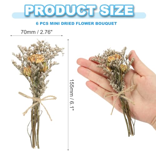 PATIKIL Mini Dried Flower Bouquet, 6 Pcs Rose Natural Wildflower with Stem Decor Baby's Breath Boho Floral Plant Flower for Crafts DIY Photo Props Gift Wedding Decor, Cream - color: Cream