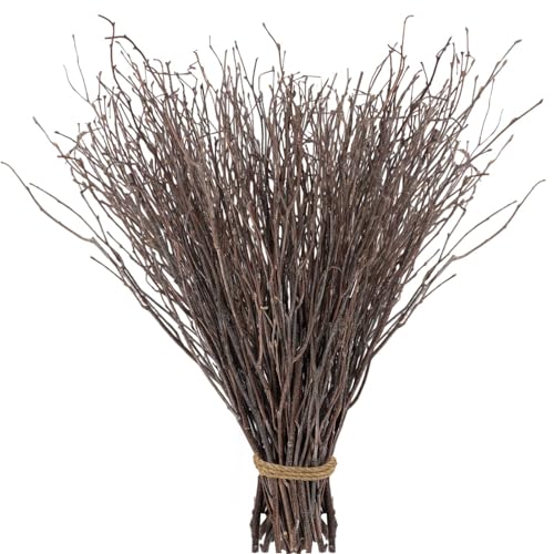 60Pcs Real Dried Birch Twigs Branches - 16” Natural Decorative Birch Branches for Easter Vases, Birch Sticks for DIY, Centerpiece, Floral Arrangment, Twig Wreath, Rustic Home Decor - size: 60