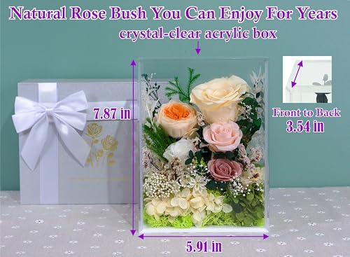 Valley of Rain & Forest Long-Lasting Real Flowers With Delivery | Handcrafted Preserved Rose Bush For You to Send Love for All Occasions, Indoor Floral Decor (Forever Yellow Rose Arrangement) - color: Yellow Champagne Rose