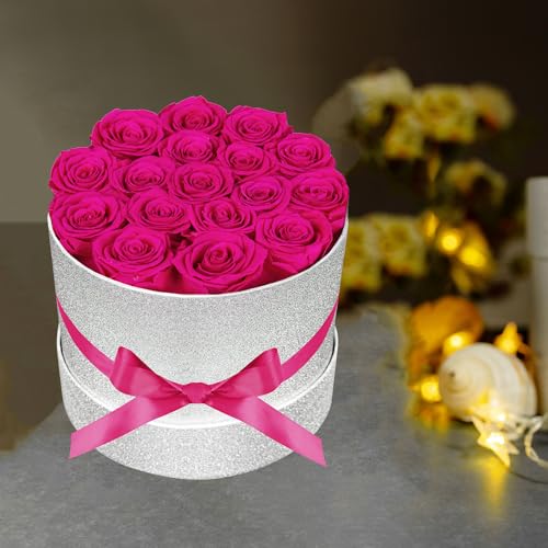 Prifroti 17 Hot Pink Flowers in Glitter Box, Birthday Gifts for Women, Preserved Flowers, Mothers Day Roses Gift for Mom - color: Hot Pink | Glitter Box, size: 17 Roses
