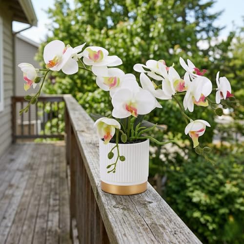 Artificial Orchid Plant with Pot, Realistic Faux Phalaenopsis Orchid with Moss, Lightweight Desktop Decor for Home and Office (White Two Branches) - color: White Two Branches
