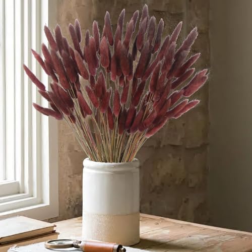 CITYES 120 Pcs Dried Bunny Tails Flower Lagurus Ovatus Natural Dried Flowers Rabbit Tail Grass Dried Pampas Grass Floral Arrangement for Boho Decor Wedding Home DIY Farmhouse Table Dark Brown - color: Brown