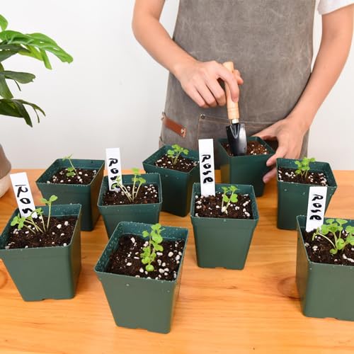 June Fox 100 Pack Green Square Nursery Pots with Drainage Holes 3.3 Inches Flexible Plastic Seedling Pots Square Pots for Plants, Succulent, Flower, with Plant Labels - color: Green