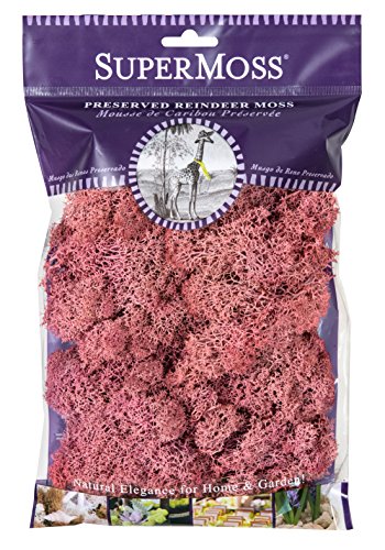 SuperMoss 25126 Reindeer Mosss Preserved, 80.75 Cubic inch (in3) Bag (Appx. 2oz), Dusty Rose - color: Dusty Rose, size: 80.75 cubic inch (in3) Bag (Appx. 2oz)
