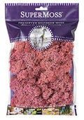 SuperMoss 25126 Reindeer Mosss Preserved, 80.75 Cubic inch (in3) Bag (Appx. 2oz), Dusty Rose - color: Dusty Rose, size: 80.75 cubic inch (in3) Bag (Appx. 2oz)