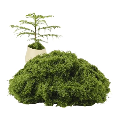 Caiyjhao Simulated Green Moss Crafts, Flowerpot Decorative Fillers, Green Decorations in the Center of the Dining Table, Indoor Flowerpots, DIY ，Weddings, Easter, Party Decorations (5.29 Oz) - color: dark green, size: 150g