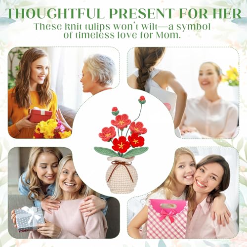 Marsui Crochet Flower Bouquet with Vase Forget-Me-Not Flowers Pot Crocheted Flower Handmade Knitted Potted Flowers Gift for Wome Coworker Father's Gifts Back to School Gift Home Decoration (Red) - color: Red, style: Forget-me-not