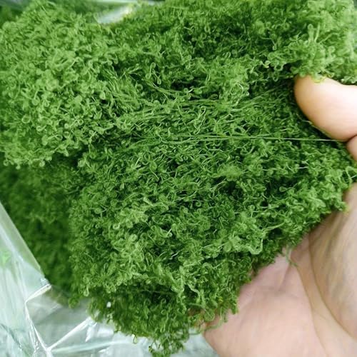 Fake Green Moss for Potted Plants, Artificial Moss, Preserved Moss for DIY Decorating Craft Art Potted Wedding Accessories Fairy Garden Accessories (500G) - size: 17.63oz/500g- Green