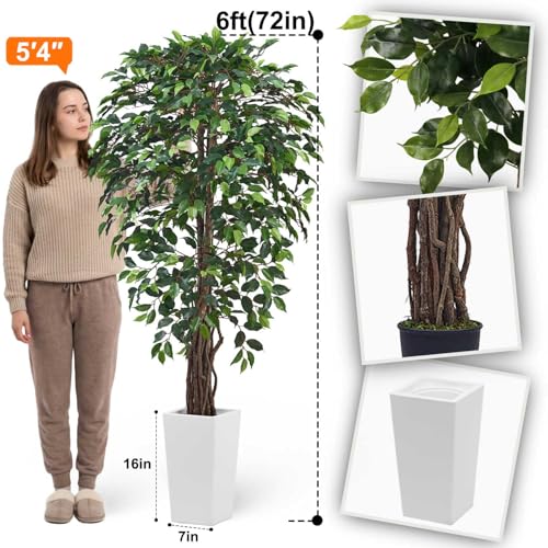 Aveyas 6ft Artificial Ficus Tree for Home Decor with White Pot, 6 Feet Faux Plant Fake Silk Trees for Indoor Outdoor House Living Room Office Garden (6 ft Tall Including Raised Pot) - color: Ficus Tree (6ft)