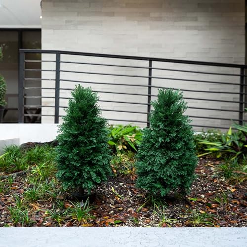 Nearly Natural 2.5ft. UV Resistant Artificial Cedar Plant with Integrated Ground Stake (Indoor/Outdoor) - Set of 2 - size: 2.5ft.