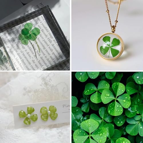 48 Pcs Mix Natural Dried Pressed 4 Leaf Clover for St Patricks Day Cake Decorating, Real Dry Flower for Lucky Jewelry Making (Four Leaf Clover) - color: Four Leaf Clover