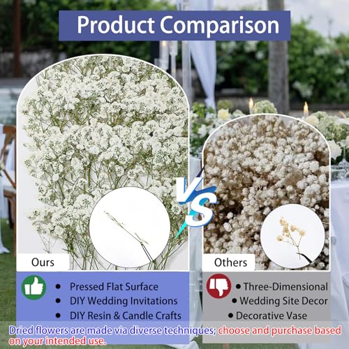 56Pcs Babys Breath Mini Dried Pressed Flowers for Crafts, Real Natural Flat White Dry Flowers Bulk for DIY Wedding Invitation, Resin Art, Card, Bookmark, Scrapbook, Jewelry, Frame, Candle, Soap Making - color: White Baby's Breath 56pcs