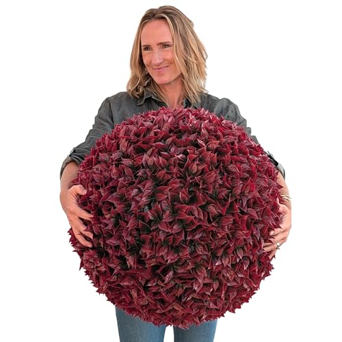 365 Curb Appeal 23" XL Topiary Balls (Better Than a Burgundy Boxwood, 1 Topiary Ball (2 Halves)) - color: Burgundy, size: 1 topiary ball (2 halves)