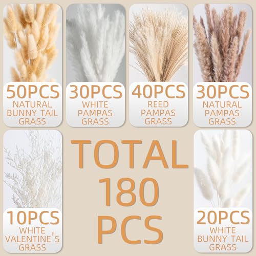 180PCS Natural Pampas Grass Mix Bouquet | Dried Pampas Bouquet for Wedding Boho Flowers Home Table,Desk ,Rustic,Farmhouse Decor - size: 180PCS