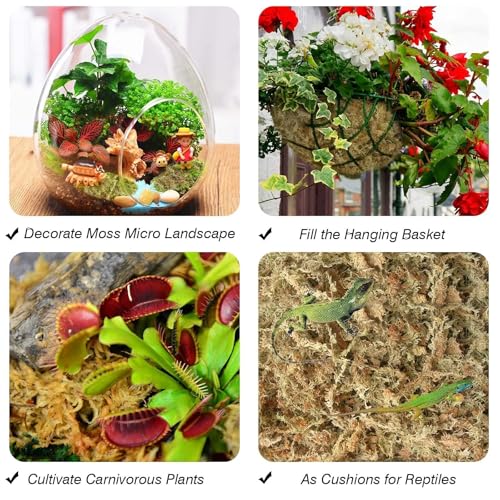 Halatool 6OZ Natural Sphagnum Moss for Plants 8 QT Premium Peat Moss Dried Long Fiber Orchid Moss for Orchid Repotting Carnivorous Succulents Garden Flowers Crafts Terrarium and Reptiles - size: 8 qt (0.4 lbs)