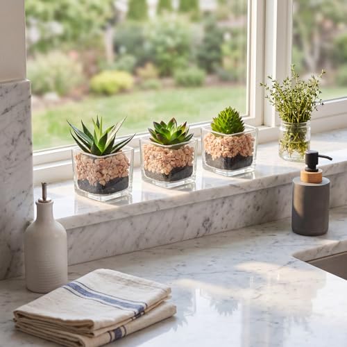 Briful Set of 3 Succulents Plants Artificial in Glass Pots Small Fake Succulents Plants Faux Plants Indoor for Home Office Table Desk Shelf Room Decor - color: Succulents #01