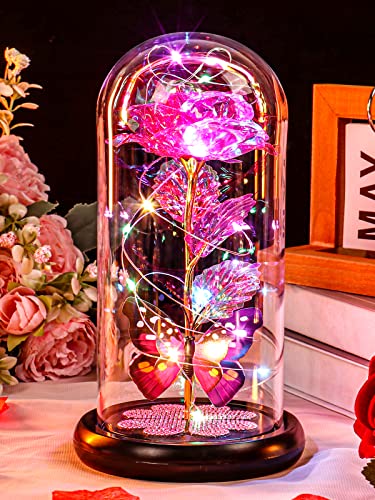 Mothers Day Mom Gifts for Mom Women Birthday Gift Galaxy Glass Rose in Glass Dome Forever Eternal Crystal Flowers with Butterfly Mother's Day Flowers Gifts for Women Wife Grandma Daughter Sister Pink - color: D Pink