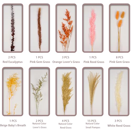 Warm Sunset Dried Flower Bouquet (No Vase) | 17'' Mini Floral Arrangement with Pampas, Baby's Breath, Eucalyptus & More Natural Dried Flowers – Home Wedding Decor Centerpiece