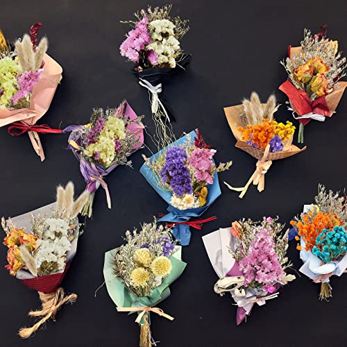 10 Pcs Mini Dried Flowers Bouquet Natural Gypsophila Don't Forget Me Dried Flowers Bouquet Plant Stem Bunch for DIY Craft Card Photo Props Vase Wedding Decor(Colorful)
