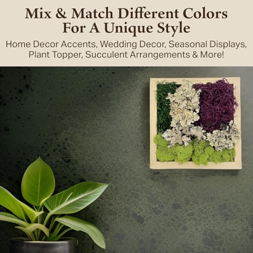 Quality Growers - The Moss Collection Variety Pack - Natural Decorative Moss - Crafts, Home Decor, Art, Design & DIY Projects - Non-Toxic - Made in USA - Red Mix, Small, 2-Pack - color: Red Mix, size: Small (2-Pack)