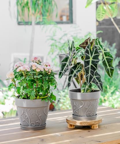 Melphoe Plant Pots Indoor with Drainage & Saucer, 2Pack 7/8 inch Flower Pots Outdoor Planters for Indoor Plants Garden Home Decor Cactus Succulent, Rigid Plastic (Imitation-Terracotta) Vine-Embossed - color: Cement Grey Color, size: 7''+8"