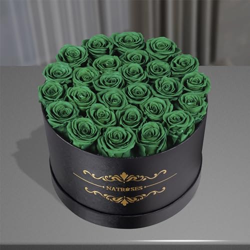 NATROSES Gifts for Her 27 Piece Forever Preserved Roses in a Box, Preserved Flowers for Delivery Birthday, Flowers Gifts for Mothers Day, Forest Green - color: Forest Green, size: 27 Roses