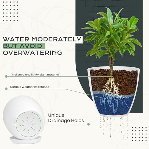 Utopia Home - Plant Pots Indoor with Drainage - 7/6.6/6/5.3/4.8 Inches Flower Pots for Indoor Planter - 10 Pack Plastic Planters - Ideal for Stocking Stuffers or Home Christmas Decorations - White - color: White, size: Pack of 10