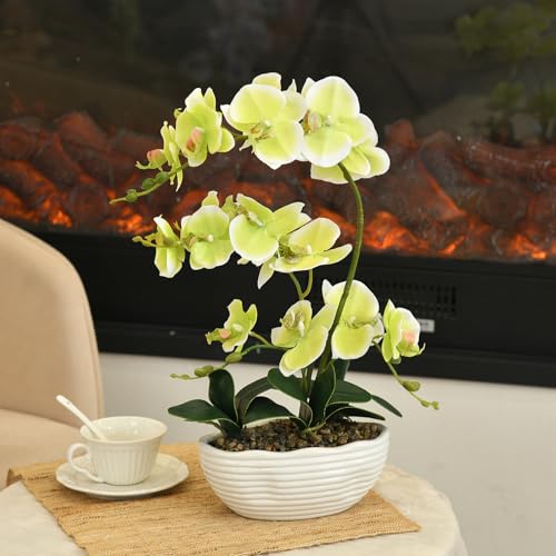 19" H Phalaenopsis Faux Orchid Plant Silk Orchid Centerpiece Artificial Floral Arrangement in Ceramic Pot (Apple Green) - color: Apple Green