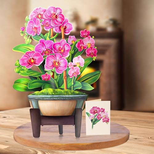 Airpark Pop Up Flower Bouquet Card for Women, 3D Floral Greeting Card with Envelope and Note, Birthday Thank You Thinking of You Get Well Gift for Mom Friend Wife Teacher, Orchid - style: Orchids