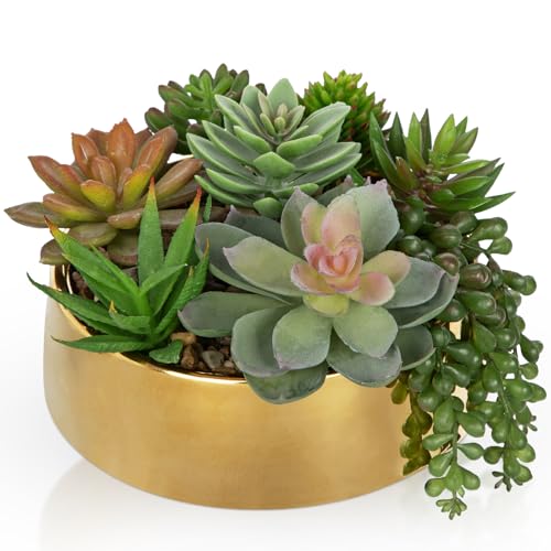 DILATATA Artificial Succulent Plants in Pot 5.5 Inch Fake Succulents Arrangement Potted Plant in Gold Ceramic Planter Bowl for Home Office Desk Shelf Living Room Bedroom Bathroom Decor - color: Gold Ceramic#style 2