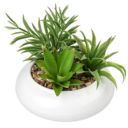 Hollyone Large Artificial Succulents Plants Faux Succulents in Pots Fake Succulent Plastic Potted Plants with White Ceramic Pot for Home Decor Office Desk Bathroom Shelf Living Room Decoration - color: 1pack - White Ceramic