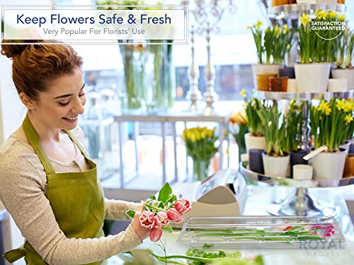 Royal Imports Clear Plastic Flower Box for Corsage, Boutonniere, Rose, Orchid Prom Wedding Craft Container 6x5x4-10 Pack