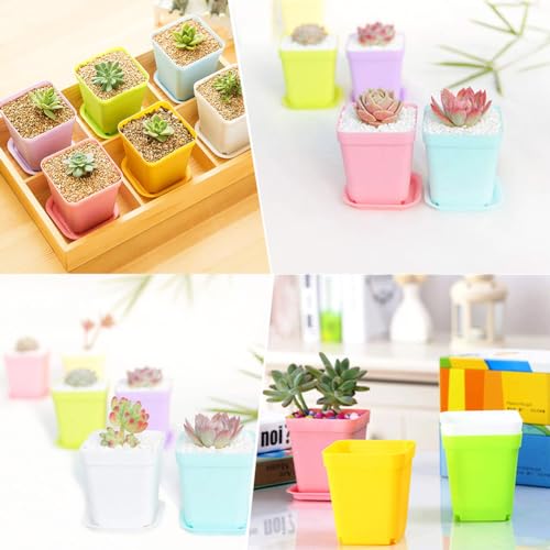 Haawooky 24 Pack Colorful Flower Pots Square Plastic Plant Pots Succulent Planter Nursery Pots with Saucers for Your Room,Garden Office and Balcony Decor - size: 24 pack